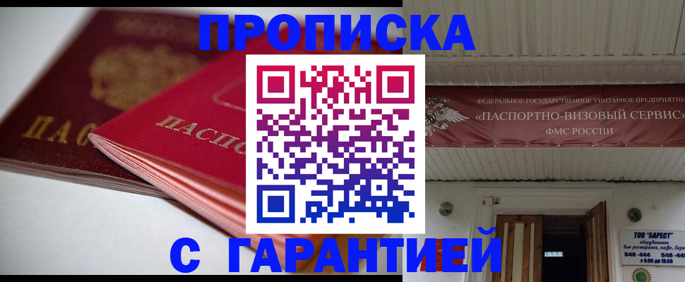 прописка гарантия в Ельне